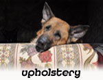 upholstery cleaning